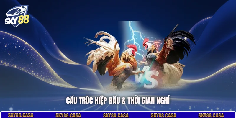 Cấu trúc hiệp đấu & thời gian nghỉ