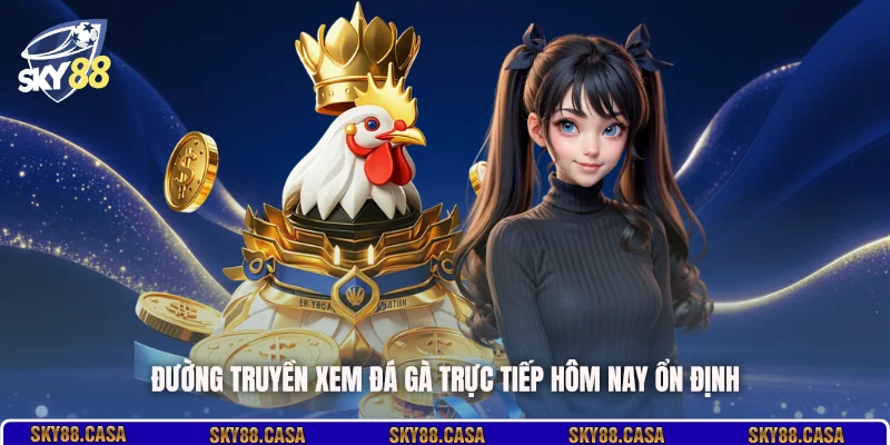 Đường truyền xem đá gà trực tiếp hôm nay ổn định