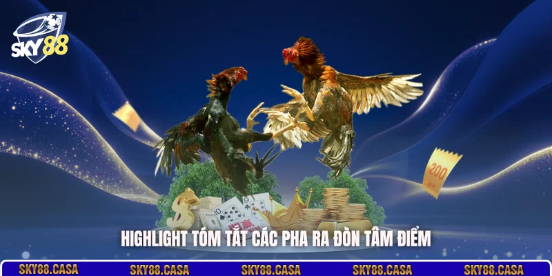 Highlight tóm tắt các pha ra đòn tâm điểm