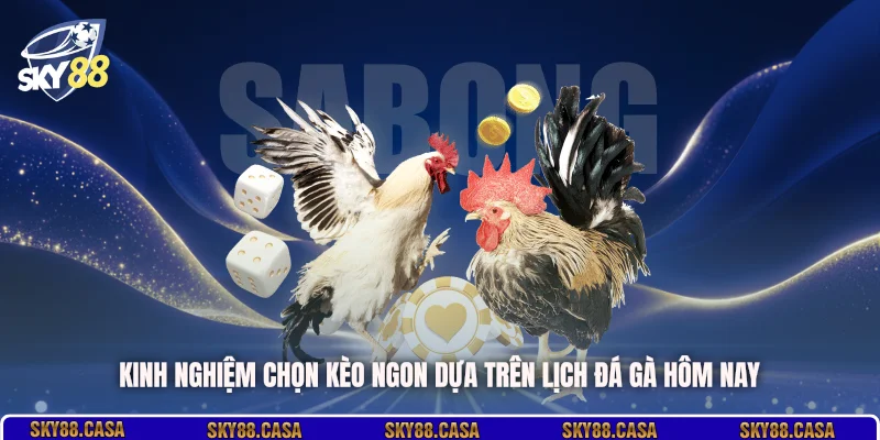 Kinh nghiệm chọn kèo ngon dựa trên lịch đá gà hôm nay